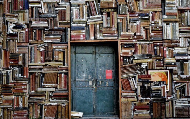 Mitten in einem sehr vollem Bücherregal ist eine Tür
