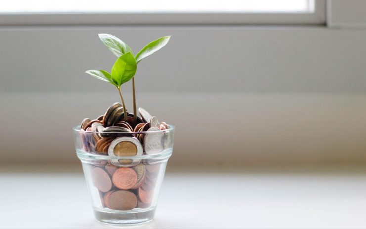 Symbolbild Finanzpolitik: Auf einer Fensterbank steht ein Glas mit Kleingeld aus dem eine Pflanze wächst